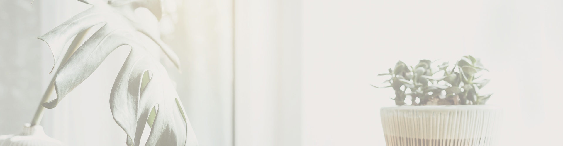 Dental Cleanings And Exams